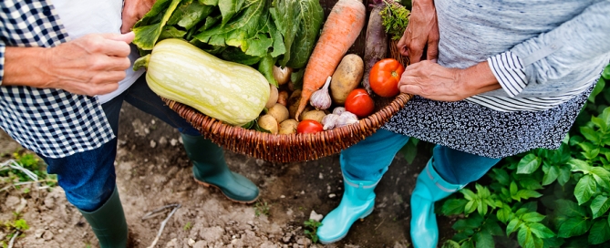 food desert solution CCRC - people holding basket of fresh vegetables