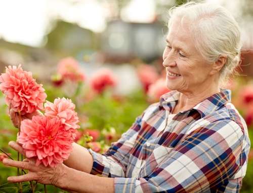 4 Ways CCRCs Help Seniors Stay Healthy - myLifeSite