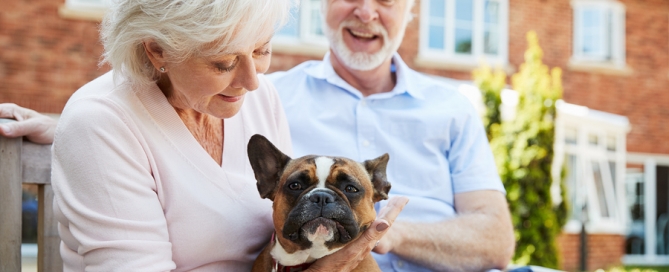 Retired Couple Sitting On Bench With Pet dog