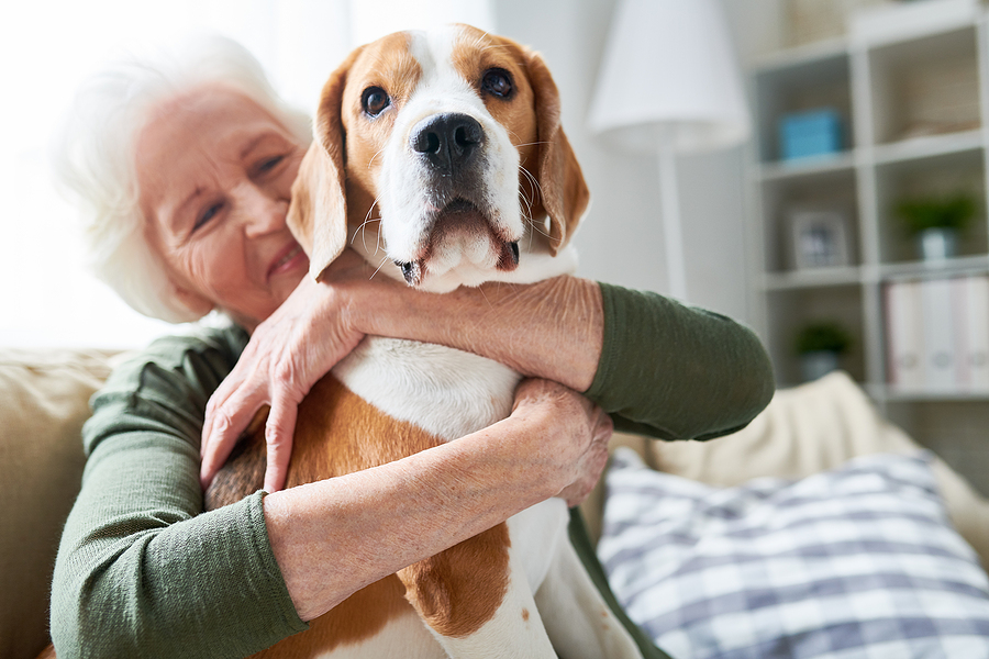Portrait of elegant senior woman hugging pet dog ; history of senior living and assisted living