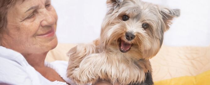 older adult Woman with her pet dog; Are Pets Allowed In Retirement Communities?; Do Retirement Communities Allow Pets?