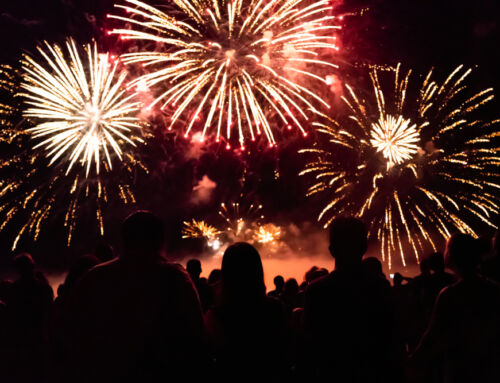 Guidance for Your Next Chapter: myLifeSite’s Top Blog Posts of 2025