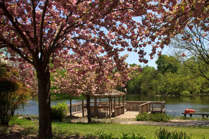 Collington Lifecare Community - Image 1