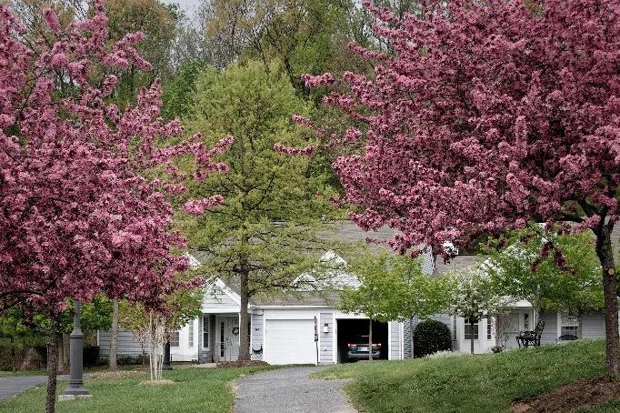Collington Lifecare Community - Image 3