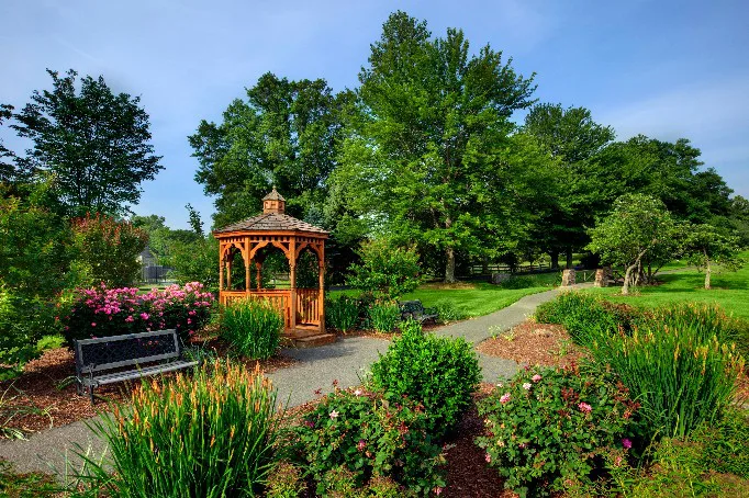 Country House - Image 3