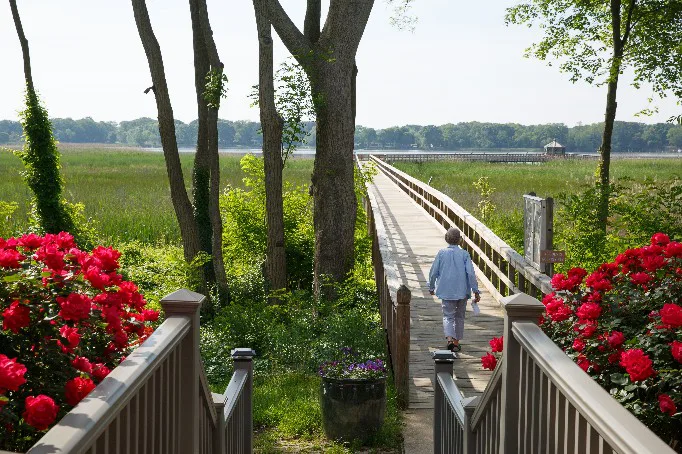 Heron Point of Chestertown - Image 2
