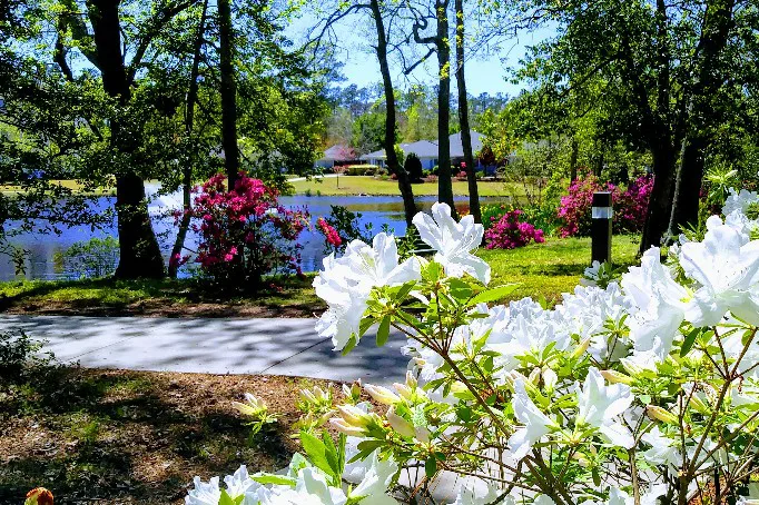 Porters Neck Village