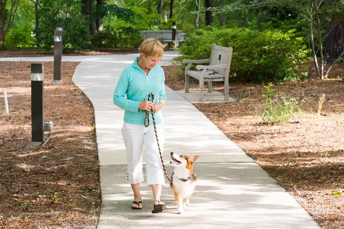 Porters Neck Village - Image 3
