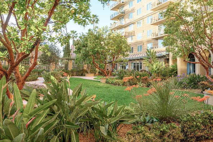 Vi at La Jolla Village