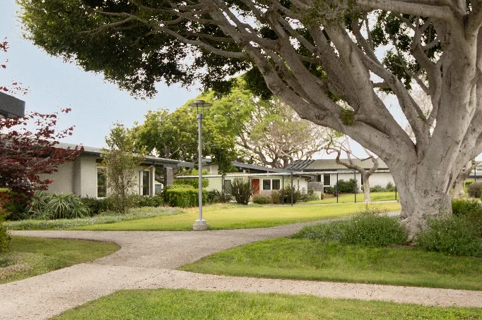 Wesley Palms - Image 2